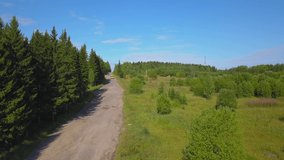 View of the summer forest. Clip. Beautiful green trees against the blue sky and road with bus
