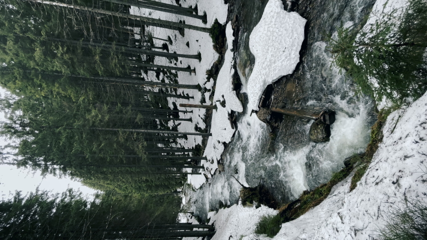 River waterfall in winter landscape. Mountain river with rock rapid in winter forest. Beautiful landscape with fast stream, green pines and melting snow. Scenic view of national park with stormy river