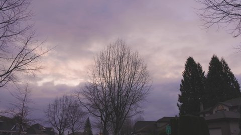 Fraser Heights, Surrey, Vancouver, British Columbia, Canada. View of Residential Suburban Neighborhood Street in a modern city. Frosty Cloudy Morning Sunrise Sky.
