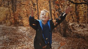 Cheerful and sweet little boy collects fallen autumn leaves and tosses. - Powered by Shutterstock - Get 15% off with code: PIKWIZARD15
