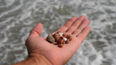 Small seashells lie on a man's hand against background of sea, water, waves, sea foam. Man holds full handful of small seashells, close-up. Concept of vacation, summer holidays. Slow motion video.