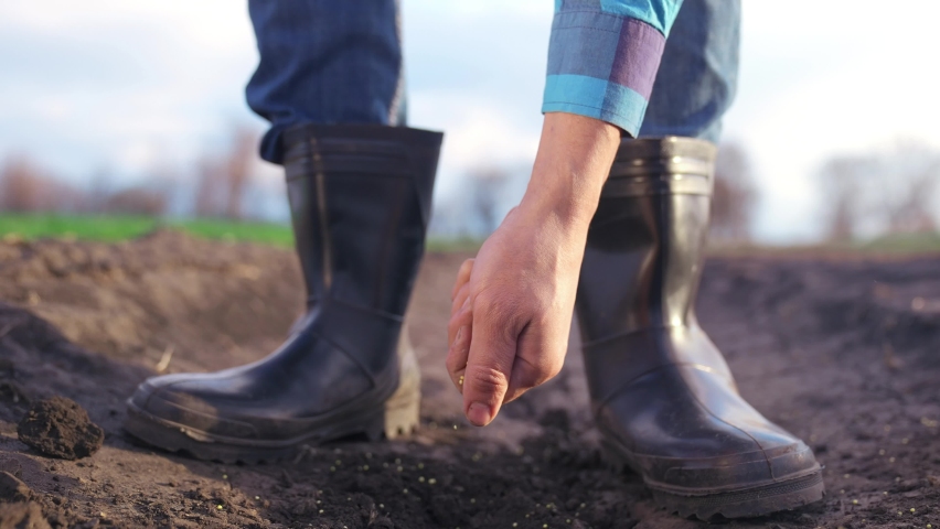agriculture. farmer hands planting seeds. business a plant agriculture concept. farmer hands is planting seeds in the suburbs beginning of the seasonal agricultural work. garden business agriculture Royalty-Free Stock Footage #1083977704