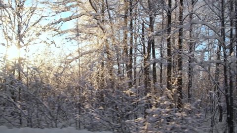 Snowy winter road in pine, birch forest and field. Landscape with empty highway going through the winter forest. Car speeding on road. Side window view of auto in motion. Tourism, travel, trip concept
