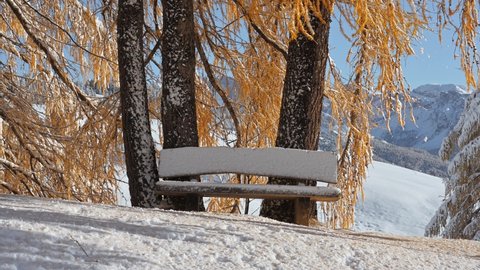Picturesque landscape with orange larch and wooden bench covered by first snow on meadow Alpe di Siusi, Seiser Alm, Dolomites, Italy. Snowy mountains peaks on background. UHD 4k video