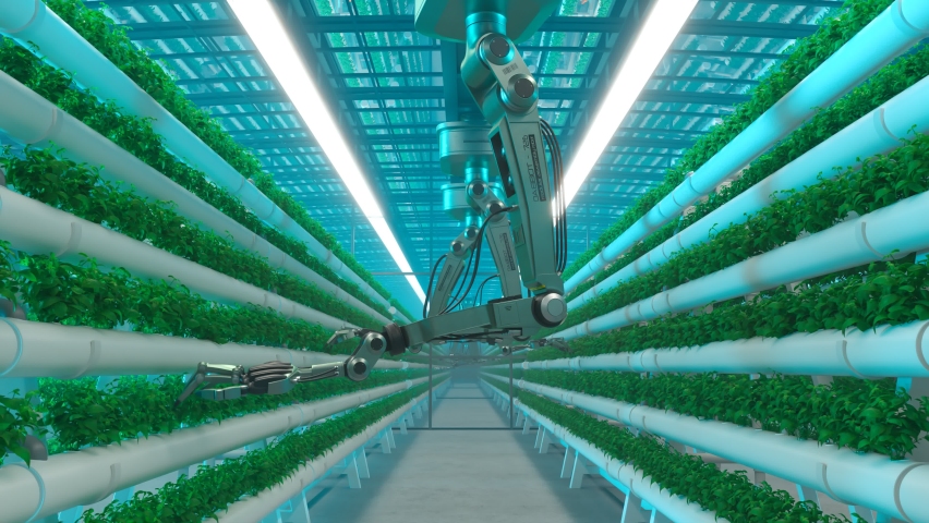 Seamless looping animation of basil cultivation. Green basil plants are grown by robots on a huge plantation at night. Concept of future herb cultivation. Modern vast herbal farm. Farming. Royalty-Free Stock Footage #1084003645