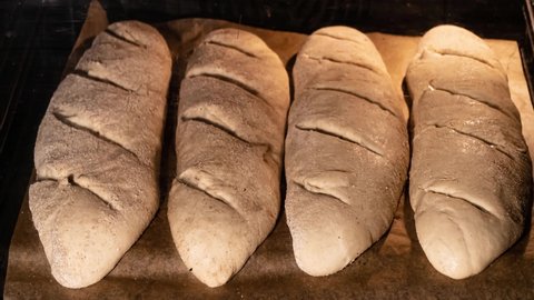 Baking craft bread, baguette in a home oven, time lapse