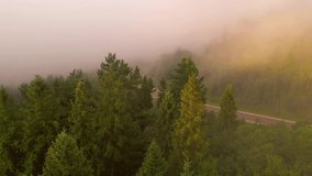 The drone flies over the road disappearing in a thick fog. Bird's eye view. Carpathian mountains, Ukraine, Europe. Cinematic aerial shot. Discover the beauty of earth. Filmed in 4k, drone video.