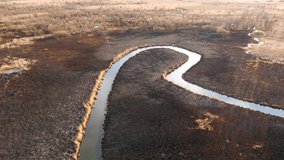 Burnt dry grass in the nature reserve of the river Seret, from a bird's eye view of the swamp in the ashes. Ukraine, Europe. Cinematic aerial drone shot. Beauty of earth. Filmed in UHD 4k video.
