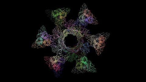 Topological model of siphophage p2 virion baseplate in resting-activated conformations. Animated 3D cartoon and Gaussian surface models in two perpendicular projections, PDB 6zih-6zjj