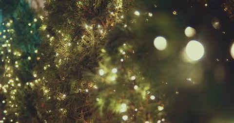 Beautiful green branches of winter fir tree with magic holiday lights of Christmas garlands Abstract Christmas holiday 4k video background.
