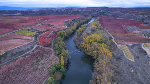 The Ebro river and vineyards in autumn in the surroundings of Davalillo Castle, San Asensio, La Rioja, Spain, Europe