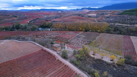 The Ebro river and vineyards in autumn in the surroundings of Davalillo Castle, San Asensio, La Rioja, Spain, Europe