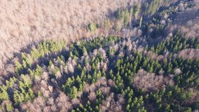 Aerial footage of flight and tilt over scenic, hilly forest landscape in spring