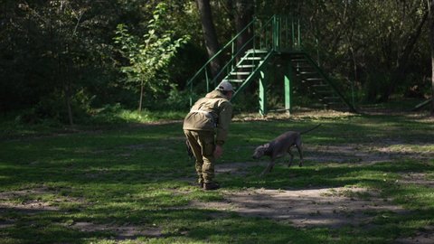 Caucasian man calling active young weimaraner running outdoors passing trainer leaving in slow motion. Happy dog having fun in spring summer park in training center