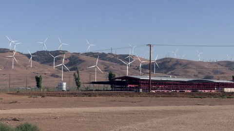 Tehachapi, California, September 18, 2021: A Wide Pan of The Tehachapi Pass Windmill Dynamo Wind Energy Farm as Seen from a Farm from Below the Ridge Making Electricity from the Wind