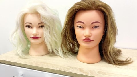 Female manikin heads with wigs for hairdresser on shelf in salon on white wall background