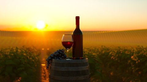 Rural scene with wooden barrel, wine bottle, grapes, and wine glass. Vineyard sunset. Sweet red grapes on the green vines lighted with warm sunlight waiting for winemaking celebration. Render CGI
