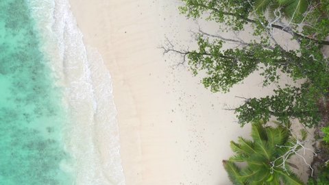 Drone shot with a view from above of the dreamlike beach of Mahe with turquoise blue water and palm trees in the Seychelles 
