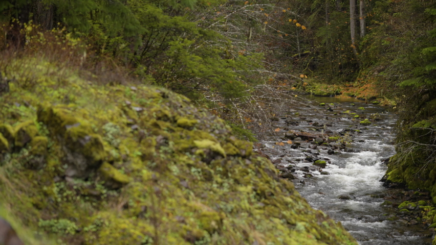 closeup pan across flowing creek
