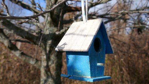 Tiny birdhouse hanging in tree and swinging in the wind