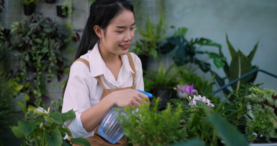Portrait of a happy young asian female gardener using a spray bottle watering on leave plants and looking at camera in morning at garden. Home greenery, hobby and lifestyle concept.
