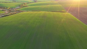 Gorgeous springtime scene of a rolling hills of agricultural area, bird's eye view. Agrarian region of Ukraine, Europe. Cinematic top down aerial shot. Beauty of earth. Filmed in UHD 4k, drone video.