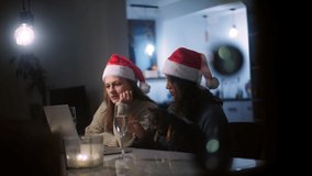 Two beautiful young women in Christmas hats, taking a video call on a laptop while sitting in the living room with a cute cat in arms. A lesbian couple celebrates the New Year.