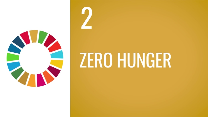 SDGs Clip Zero Hunger for Non Profit Organization Royalty-Free Stock Footage #1084069504