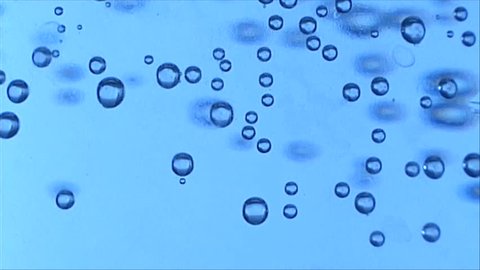 amoeba moving through microscopic lightings by Stock Footage Video (100 ...