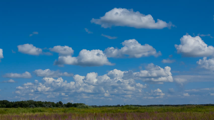 summer prairie by a hot day