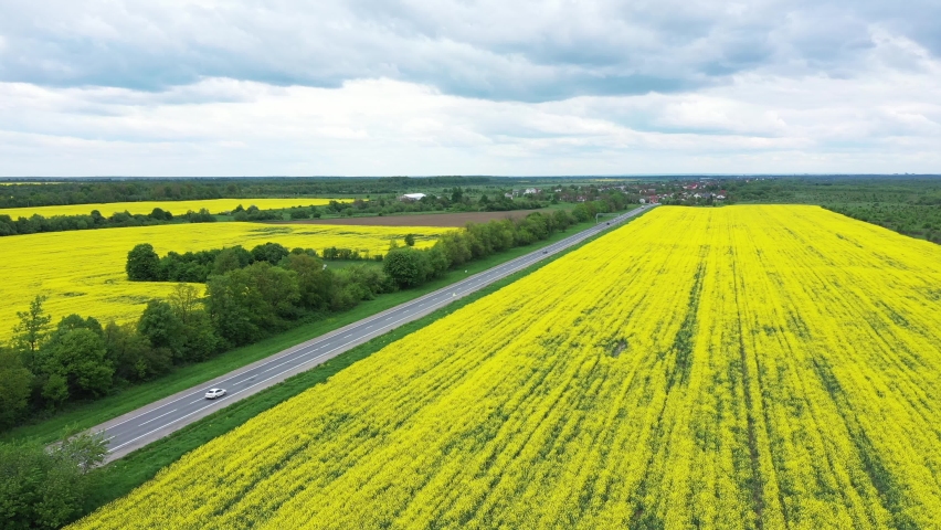 Yellow Rapeseed Field Panorama between the freeway with Beautiul cloudy Sky Aerial View