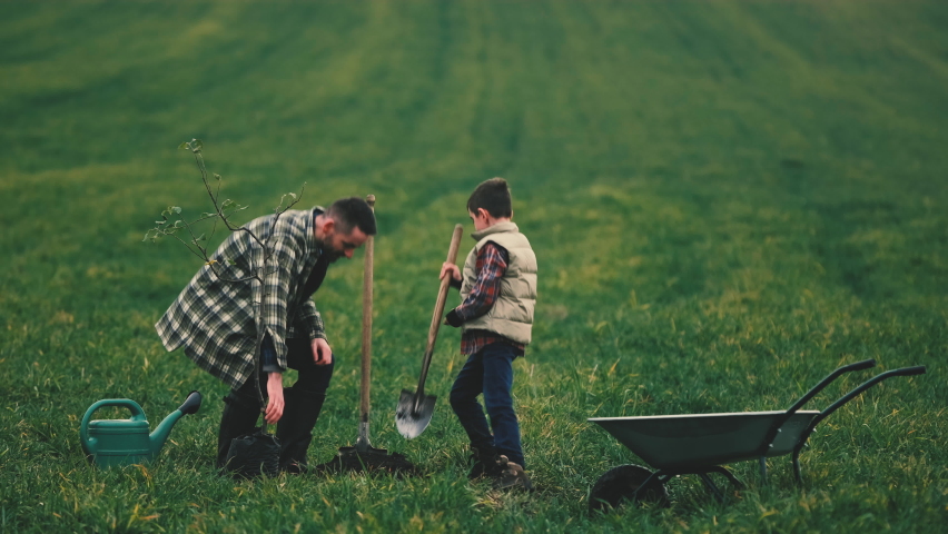 The handsome father and his little son planting a tree together. slow motion Royalty-Free Stock Footage #1084105249