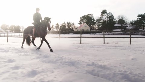 KUNGSBACKA, SWEDEN - December 04, 2021: Woman riding her horse one cold winter day. Sun beams in the snow. Northern winter sun light. 4K drone footage.