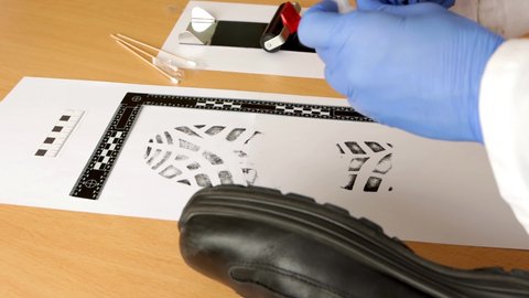 A scientific police investigator, CSI, in the laboratory, with ink, takes samples of the shoe prints
