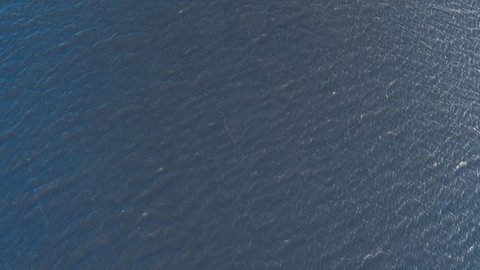 Aerial drone top view with copy space of luxury white speed boat cruising in high speed in blue sea. Reflection of the sailing yatch and golden sunset in water. Beautiful long waves left by motor boat