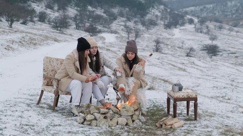 Beautiful young women dressed warmly in winter park in the fresh frosty air roasted marshmallow.