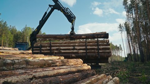 Collecting wood material inside of the Forest. Heavy Machinery is dealing with wood material. Stacking up the wood material into piles. Manufacturing of Wooden Products. Deforestation.