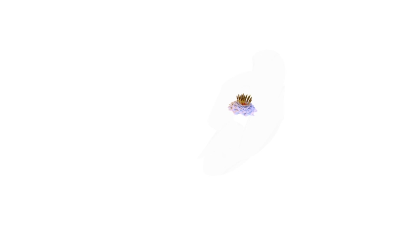 Waterlily Botanical Flower 3D Rendering Royalty-Free Stock Footage #1084143622