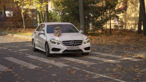 SAINT-PETERSBURG, RUSSIA - OCTOBER, 1, 2021: White luxury car with wedding rings and flowers decoration on hood driving in an autumn fall city. Mercedes-Benz E-class w212 restyling automobile.