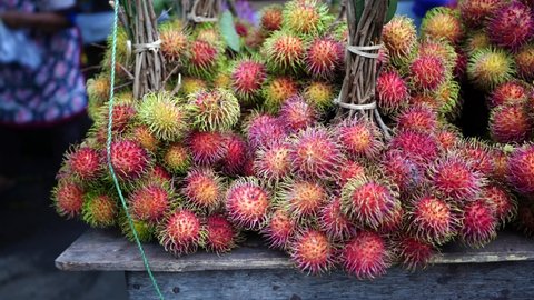 Rambutan (Nephelium lappaceum) is a medium-sized tropical tree in the family Sapindaceae. The name also refers to the edible fruit produced by this tree. The rambutan is native to Southeast Asia.