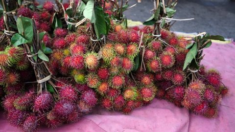 Rambutan (Nephelium lappaceum) is a medium-sized tropical tree in the family Sapindaceae. The name also refers to the edible fruit produced by this tree. The rambutan is native to Southeast Asia.
