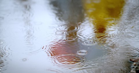 slow motion of two people walking to a puddles wearing a colorful raincoat. reflection of two people walking toward a puddles