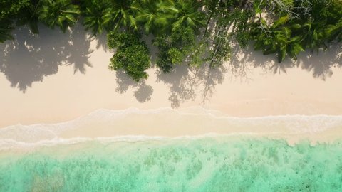 Drone shot with a view from above of the dreamlike beach of Mahe with turquoise blue water and palm trees in the Seychelles