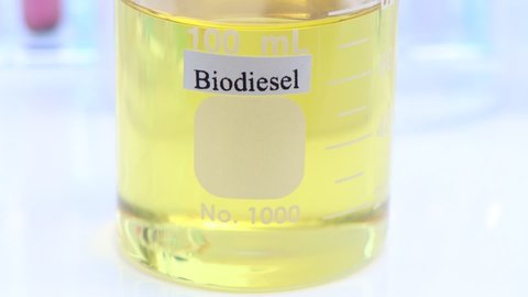 Biodiesel experiments from natural raw materials in the laboratory and environmentally friendly