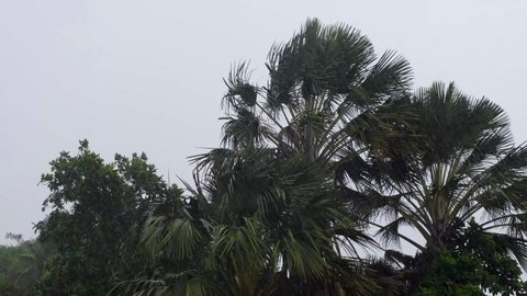 Strong winds from Typhoon Rai as it hits Cebu City Philippines.