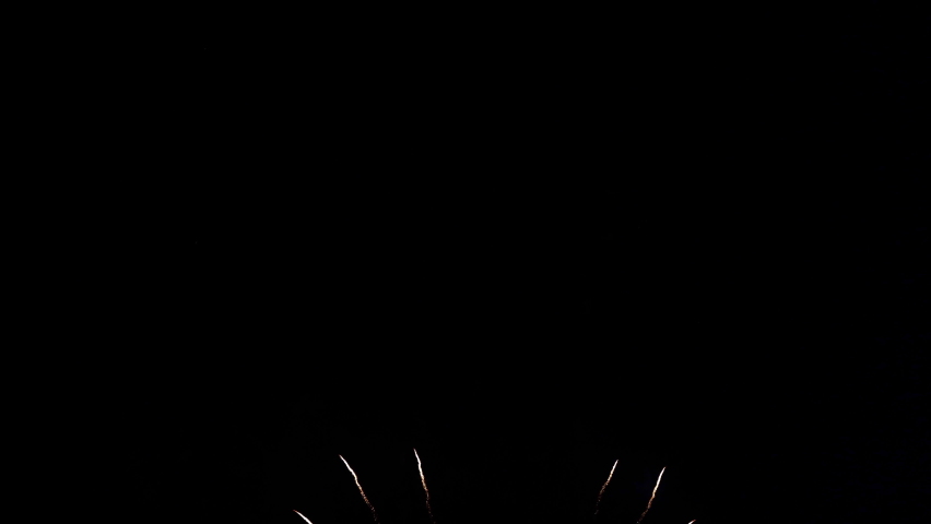 Comet and Chrysanthemum fireworks burst against back background
