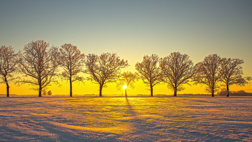 majestic sunset timelapse in winter landscape. Sun flares behind dry trees lighting up the field