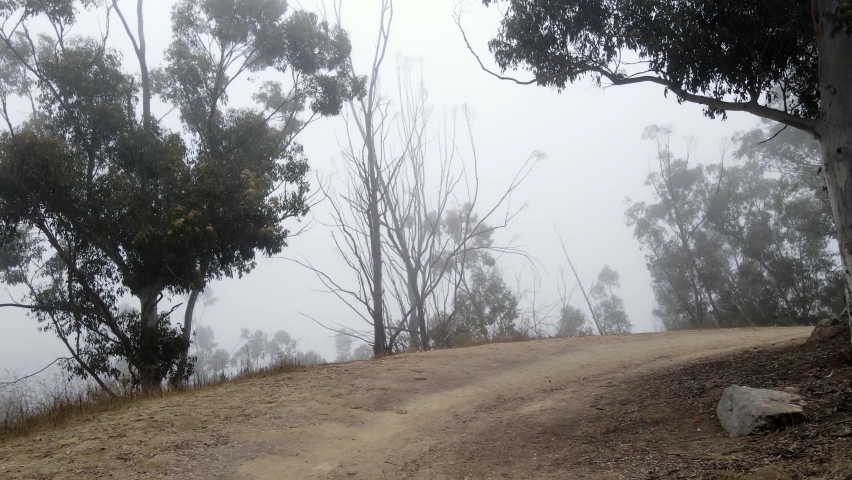 Aerial of a foggy hiking trail near Los Angeles California