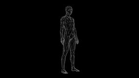 Human body low poly wireframe. Futuristic scan set, human hologram, body x-ray, 3d model in HUD style. Polygonal wireframe mesh with scattered particles and light effects on dark background.