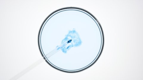 Top view macro shot of lab dropper injects dark blue liquid into light blue one in petri dish on white background | Abstract skincare ingredients mixing concept